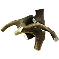 Los mejores  - ARTISAN GIFT CO Mordedor Ecológico para Perros de Asta de Ciervo 100% Natural – Tamaño M (1 Unidad) +75 gr.